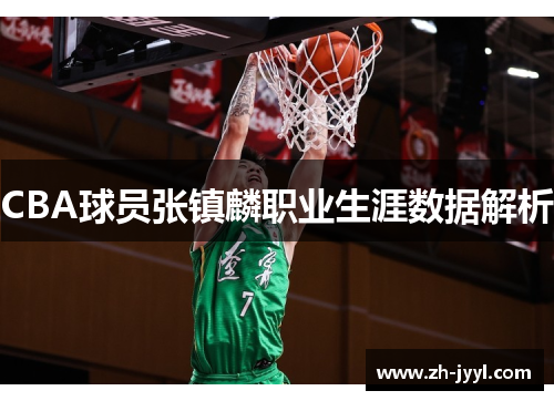 CBA球员张镇麟职业生涯数据解析